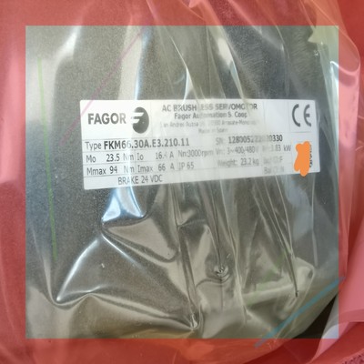 发格电机FKM66.30AE3.110.11,