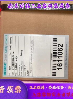 KUB/BT-KUB-8 爆破片REMBE