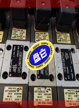 PLEIGER/WFLUH AM4J60-xx-M45