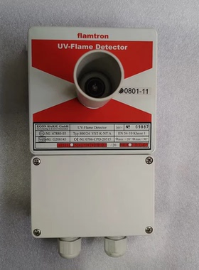 FLAMTRON 800/24 VST-K-NTA 火焰探头