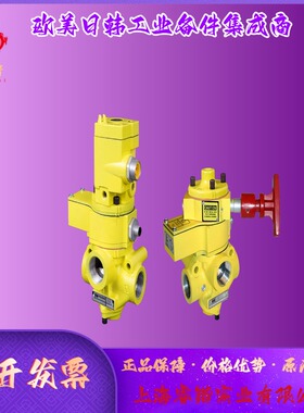 ROSS  DM1系列 DM1CDA54B31 C双阀