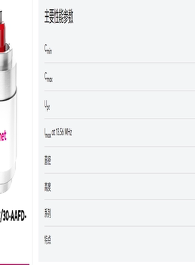 CVTE-250AC/30-AAFD-A COMET 真空电容