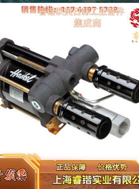 HASKEL  GWD,GSFD,DGFD,DGSFD,DGSTVD 空气驱动泵