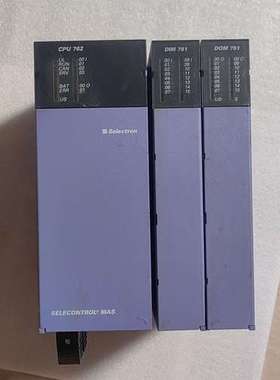 瑞士PLC。CPU762外加模组DIM751-DOM751。【议】