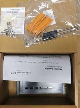 E+H CPM223-PR0005，最后两台【议】