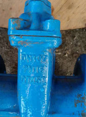 蓝色软密封闸阀，DN100规格，PN16压力等级，QT450[议]