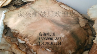 整张去毛羊皮本色羊皮鼓皮优质非洲鼓皮整张非洲鼓皮山羊皮