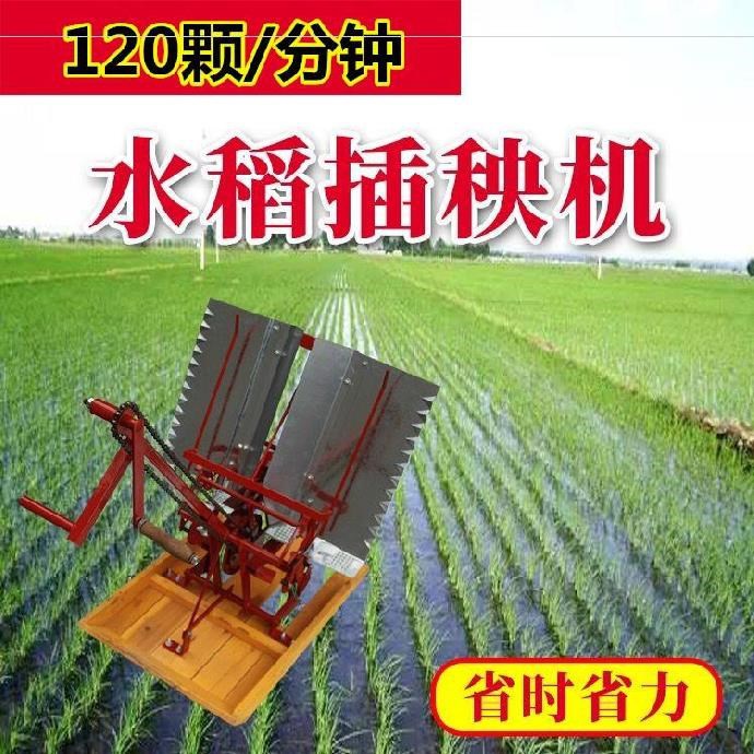 新型手推大型插田大插秧机稻田水田农用J新式栽秧自动水稻机耕插