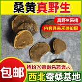 全国 假一赔十秦岭野生桑树桑黄灵芝桑黄正宗桑树桑黄称重50克 包邮