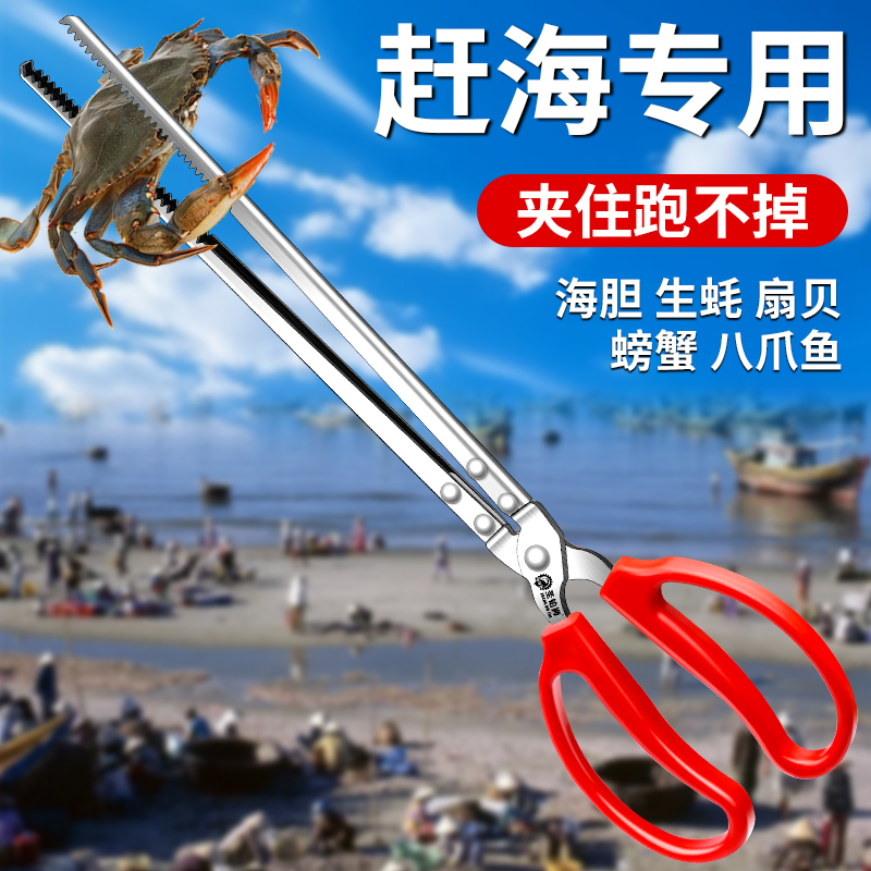 加长防侧滑钳夹/不锈钢/赶海神器