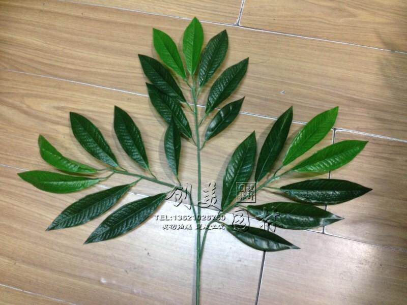 仿真树叶荔枝叶 园林装饰叶子假树叶 橱窗装饰摆放荔枝树枝叶树叶