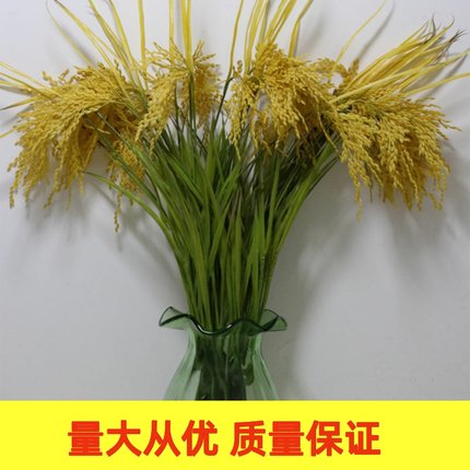 热卖仿真黄色稻谷 水稻稻穗 假大麦麦穗 舞蹈装饰花摆放小麦绢花