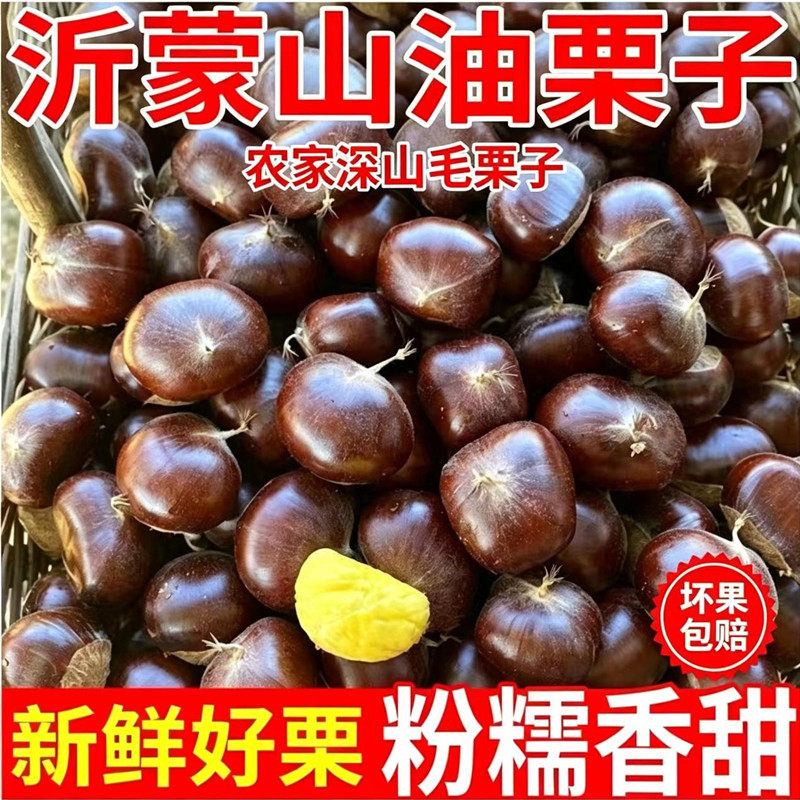 沂蒙山油栗子2026新下树新鲜新鲜板栗/板栗仁