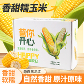 2025新鲜白玉米糯玉米非转基因真空装 8穗大棒苞米黄糯玉米礼盒
