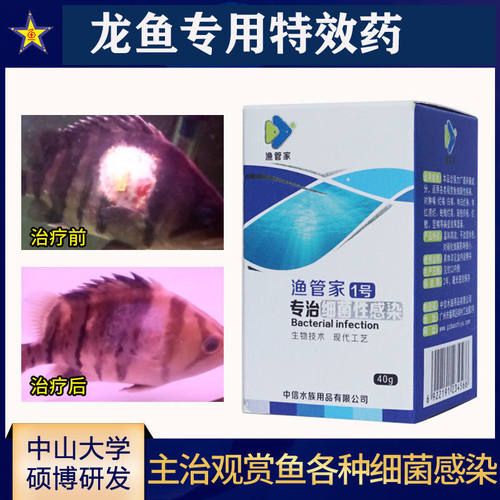 渔管家1号 (立鳞体红烂身白身白尾鼓包肿嘴黑头)龙鱼