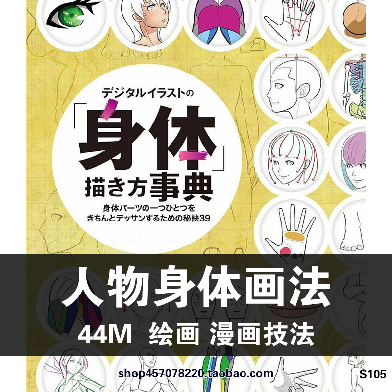 动漫人物身体画法 人体结构身材比例 绘画参考 临摹线稿 美术素材