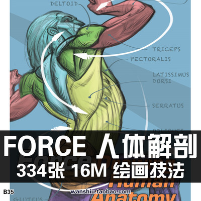 FORCE画集人体解剖素描形体结构手绘线稿集动画速写美术素材图片