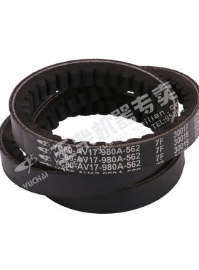 玉柴4110发动机原厂YC80-AV17-980A皮带东风江淮福田客货车