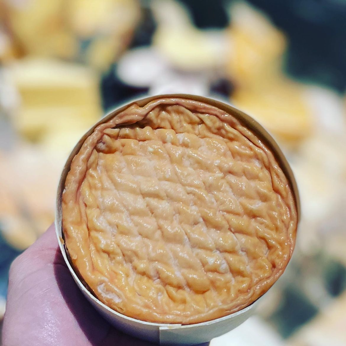 法国进口传统农坊艾普斯洗皮奶酪臭芝士小众手工软质乳酪EPOISSES,咖啡/麦片/冲饮,原制奶酪,淘宝优惠券,粉丝福利购,淘宝优惠卷