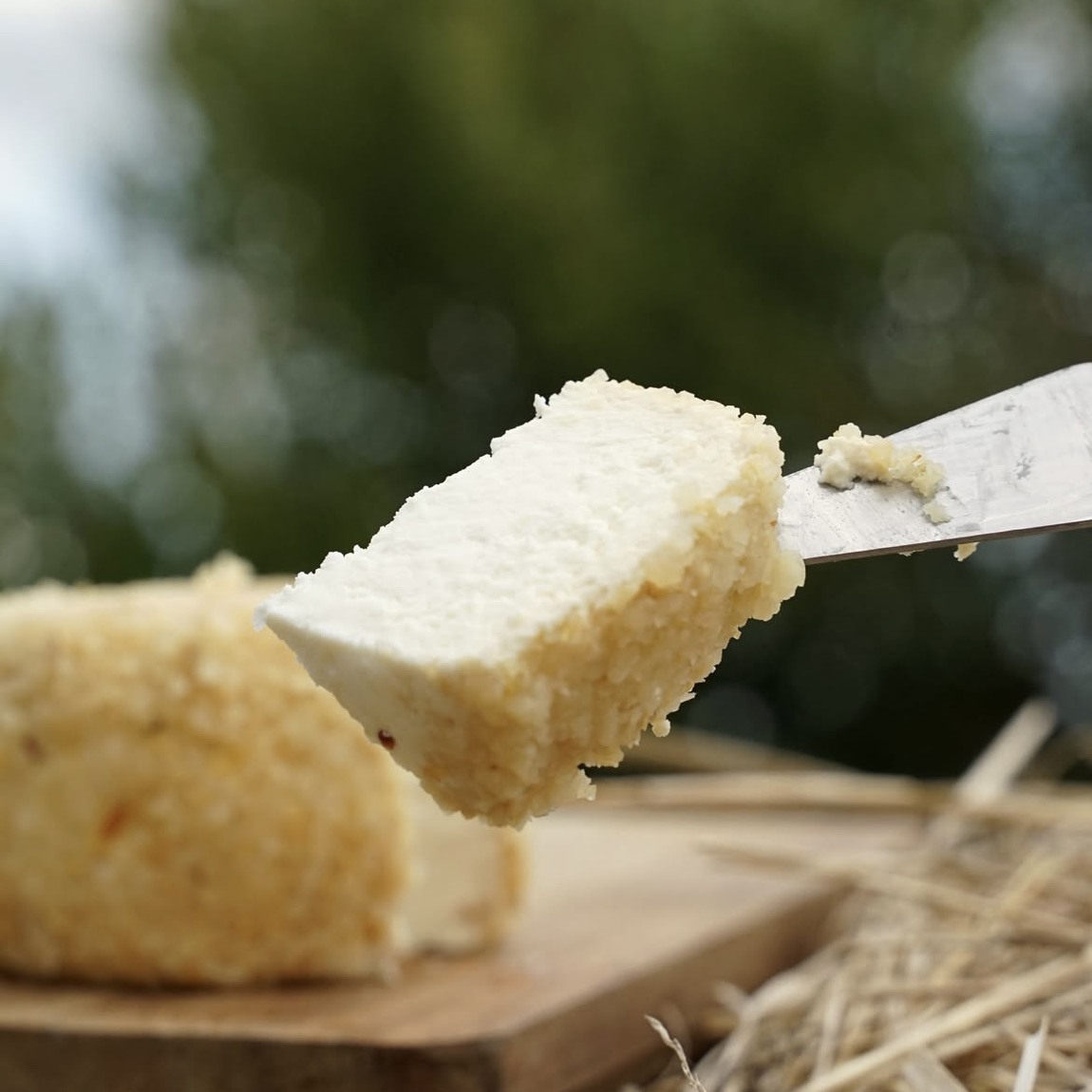 法国进口新鲜山羊乳奶酪软质干酪Crottin库尔丹羊芝士顺丰包邮,咖啡/麦片/冲饮,原制奶酪,淘宝优惠券,粉丝福利购,淘宝优惠卷