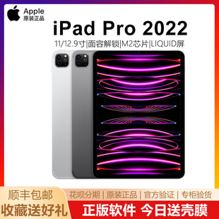 Apple/苹果 11英寸 iPad Pro2022新款平板电脑12.9寸 M2芯片 2024