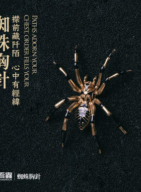吾蟲蜘蛛滴胶胸针百搭礼物