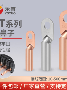 铜鼻子铜接头DT10/16/25/35/50/70-500平方接线端子堵油线耳鼻子