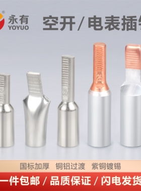 C45空开铜铝插针过渡接线鼻 电表DZ47断路器紫铜插针光伏铝线鼻子