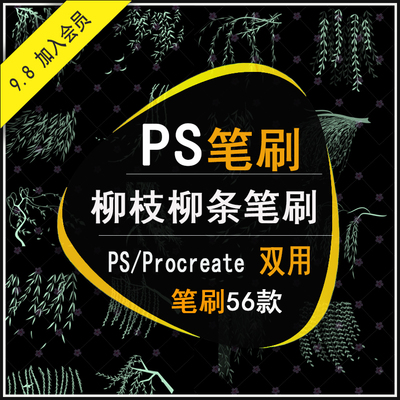 新款procreate/ps笔刷春柳枝细柳条树叶植物叶子柳树树枝清新水墨