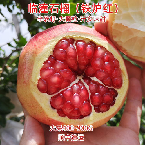 红石榴新鲜水果半软籽铁炉红