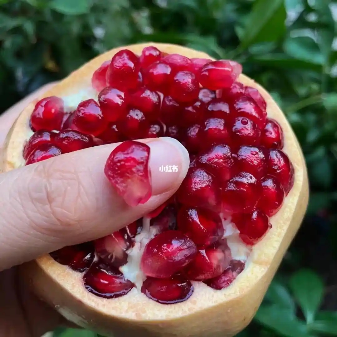 【口碑榜NO1】老少皆宜软籽石榴