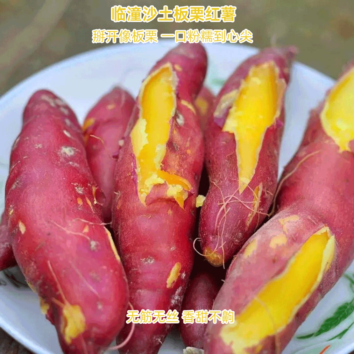 陕西板栗红薯新鲜现挖沙地粉糯甜板栗番薯代餐粗粮宝宝辅食烤地瓜