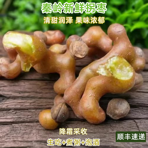 拐枣儿新鲜水果枳椇陕西秦岭