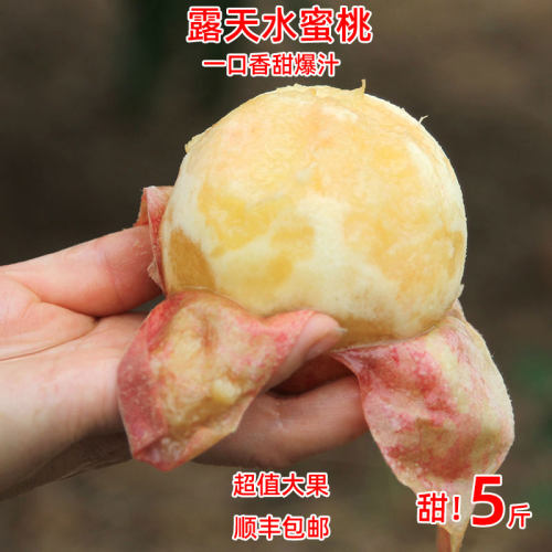 【香甜爆汁】陕西莱莎蜜水蜜桃
