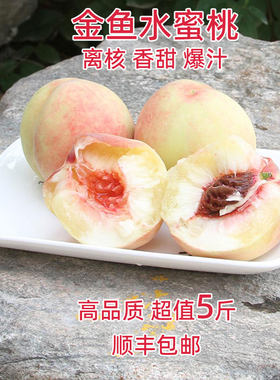 【香甜爆汁】高品质】离核水蜜桃