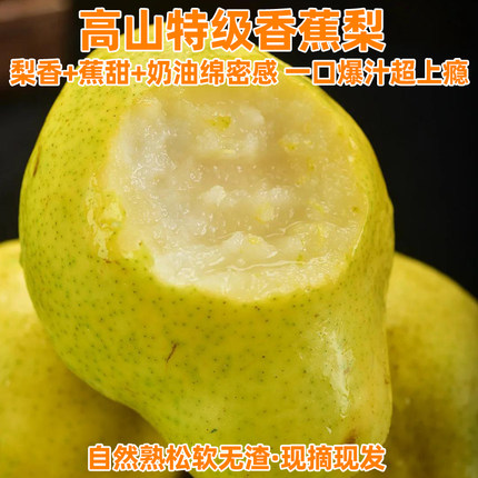 香蕉梨新鲜水果太婆梨陕西当季酸甜软香葫芦梨啤梨大头梨现摘大果