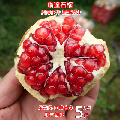 净皮甜石榴新鲜水果临潼石榴