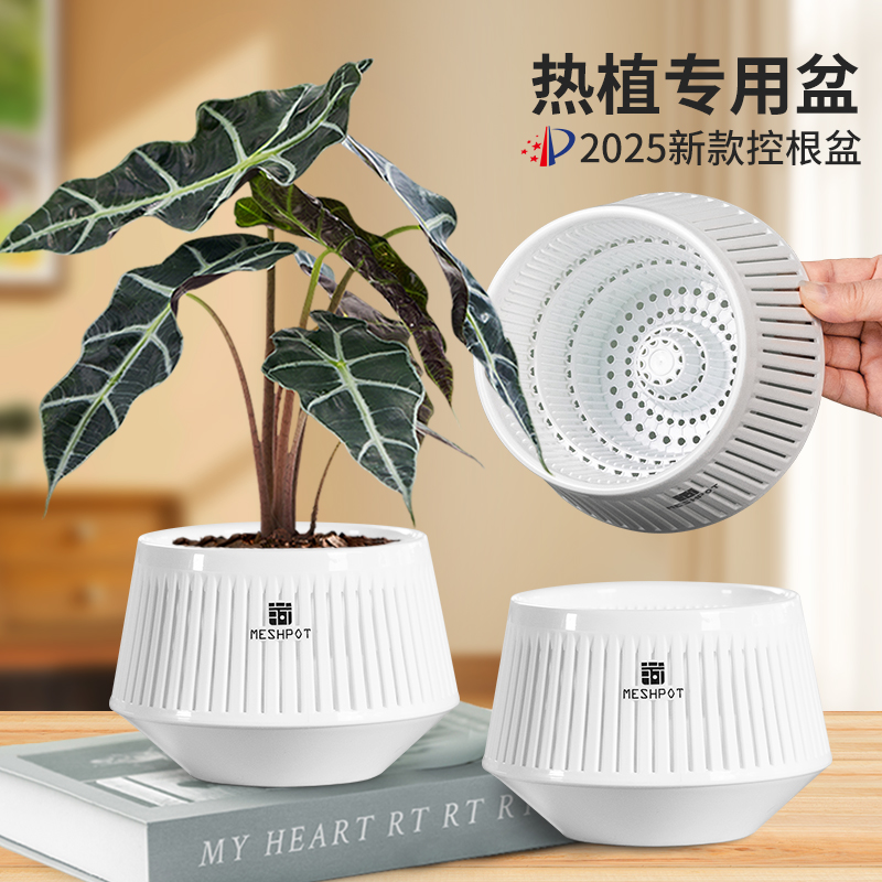 2025新款美莳高级感轻奢花盆家用精致奶油风北欧块根龙舌兰专用盆