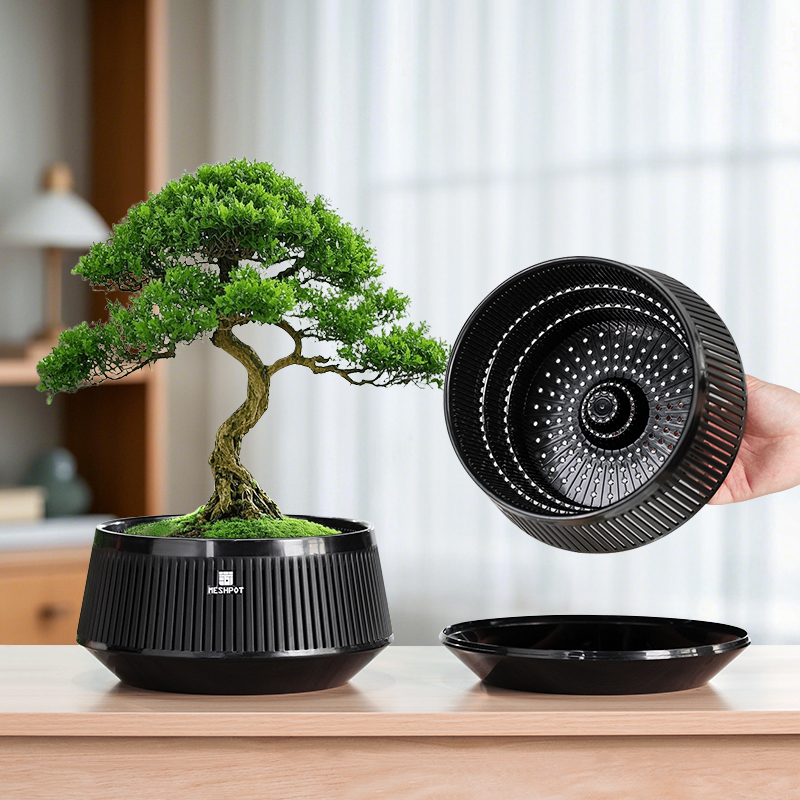 美莳盆景专用花盆榕树梅花蕨类块根龙舌兰塑料仿紫砂透气控根浅盆