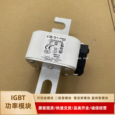 170M6264 6262 6263  170M6758 170M6759 170M6760 170M6761询价