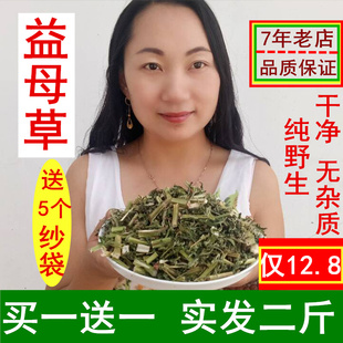 益母草茶中药材当年新货女性伴侣新鲜整棵干益母草茶1000克