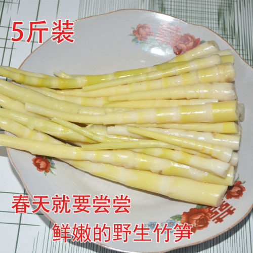 秦岭野生小竹笋新鲜现采现发超值