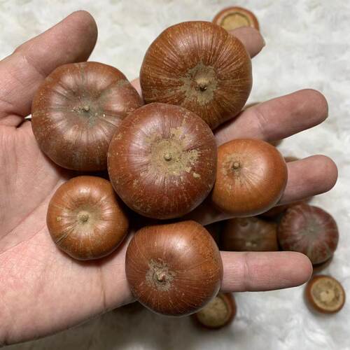 莲花座菩提子紫金钵盂风流果把件