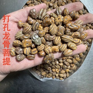 白玉龙骨菩提子龙脊原料佛手猫爪