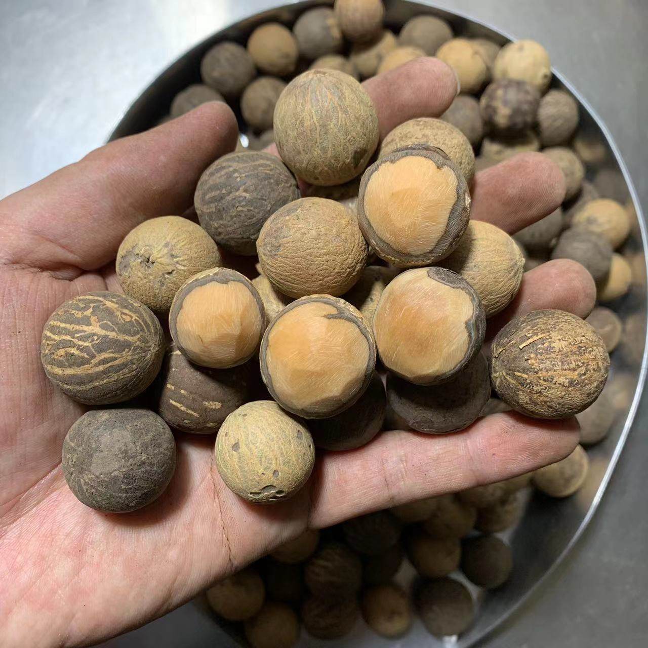 菩提根原料 大个风化菩提根 陈化老籽贝叶棕手串原料原籽20-25mm