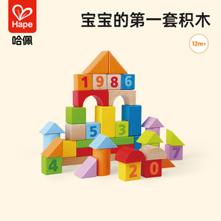 Hape40粒益智积木拼装 玩具1岁男女孩婴幼儿宝宝木制早教儿童启蒙