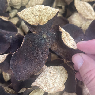 【2017年梅江大九口围圈枝大红皮】正宗新会陈皮梅江2017年圈枝