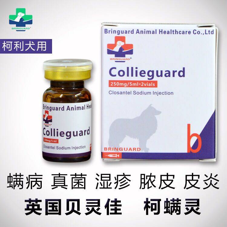 贝灵佳柯螨灵 边境牧羊犬皮肤病针剂 宠物狗柯利犬皮炎螨虫 单支在类目 宠物/宠物食品及用品, 猫/狗医疗用品（新）, 其他中 - 来自Buy2taobao.com提供专业的淘宝代购服务
