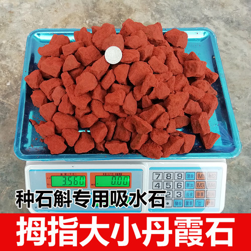 丹霞石丹霞石碎石种石斛专用