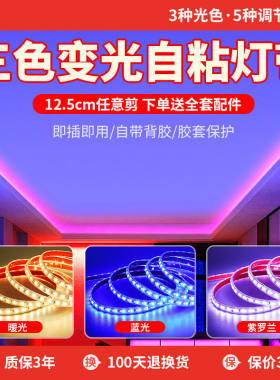 三色变光灯带led软灯条
